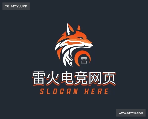 介绍雷火电竞网页